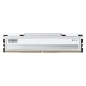 Preview: 16GB KLEVV FIT V 5600 CL30