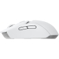 Preview: LogitechG309 LIGHTSPEED MOUSE