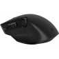Preview: ASUS MD300 MOUSE/BK/WW