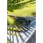 Preview: Lenco CD-400 grau