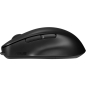 Preview: ASUS MD200 Maus. schwarz