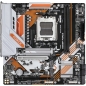 Preview: Gigabyte B850M FORCE