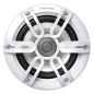 Preview: Pioneer TS-ME650FS Marine
