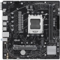 Preview: AM5 ASUS Prime A620M-E-CSM mATX