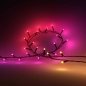 Preview: Philips Hue Festavia Lichterkette 40m 500 LEDs