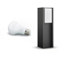 Preview: Philips Hue Turaco Sockel Anthr HueWh 800lm
