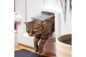 Preview: SUREFEED Mikrochip Katzenklappe wei�