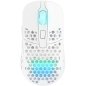 Preview: Cherry Mouse Xtrfy M42 RGB Gaming white