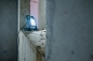 Preview: Brennenstuhl Mobiler LED Strahler JARO 7060 M