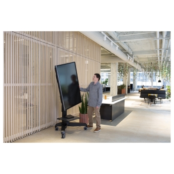 Preview: ZUB ERGOTRON Neo-Flex Mobile MediaCenter VHD