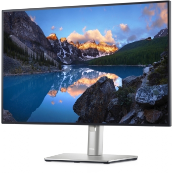 Preview: 61.13cm/24'' (1920x1200) Dell UltraSharp U2421E 210-AXMB 16:10 5ms HDMI 2xDisplayPort USB-C VESA Pivot WUXGA Silver