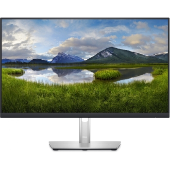 60.45cm/23.8'' (2560x1440) DELL-P2423D 16:9 8ms IPS DisplayPort HDMI USB VESA Pivot Black/Silver