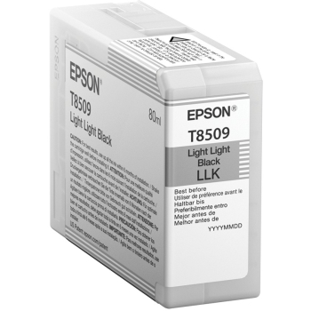 Epson C13T850900 light black