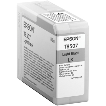 Epson C13T850700 light black