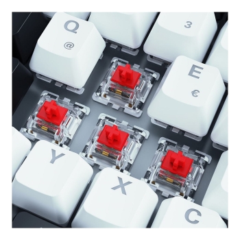 Preview: Sharkoon SKILLER SGK50 S3 (wei. DE-Layout. Gateron Red)