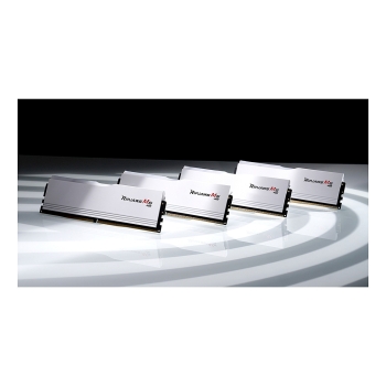 Preview: 96GB G.Skill DIMM 5200 (2x 48 GB) Dual-Kit (wei. F5-5200J4040A48GX2-RM5RW. Ripjaws M5. INTEL XMP)