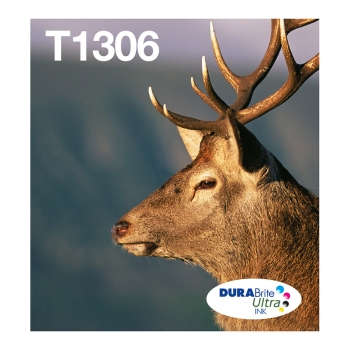 Epson Original Easy Mail Packing T1306 Hirsch Druckerpatronen 3er Multipack C/M/Y (C13T13064510)