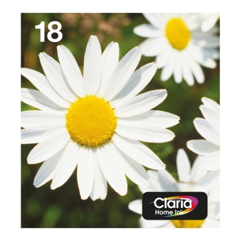 Epson Original Easy Mail Packing 18 Gänseblümchen Druckerpatronen - 4er Multipack (C13T18064511)