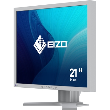 Preview: EIZO 54.1cm (21.3) S2134-GY 4:3 DVI+DP+USB IPS black Lift