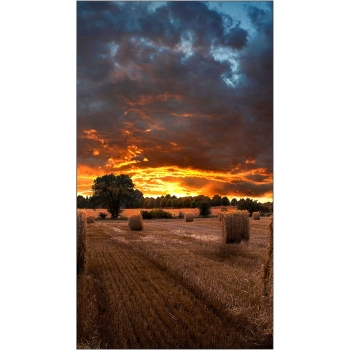 Preview: Samsung Smart Signage VM46B-U 116.80cm(46) 3.5mm B-to-B (Speditionsversand)