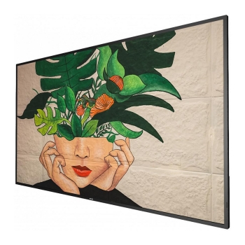 PHILIPS D-Line 55BDL4511D 24/7/UHD/500cd (Speditionsversand)