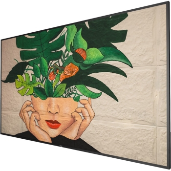 Preview: PHILIPS D-Line 65BDL4511D 24/7/UHD/500cd (Speditionsversand)