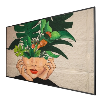 Preview: PHILIPS D-Line 86BDL4511D 24/7/UHD/500cd (Speditionsversand)