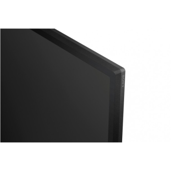 FW-65BZ30L 65INCH PRO