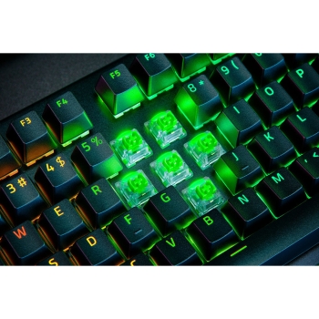 Razer BlackWidow V4 Pro Green Switch Tastatur