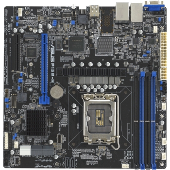 ASUS P13R-M microATX 1x LGA 1700 DDR5 2x1G ASMB11