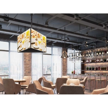 Preview: Equip Deckenhalterung 39-75/2TFT je 40kg 2Gelenke neig. sw lite Retail