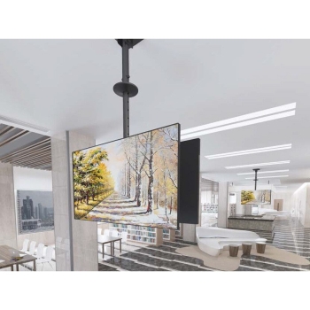 Preview: Equip Deckenhalterung 39-75/2TFT je 40kg 2Gelenke neig. sw lite Retail