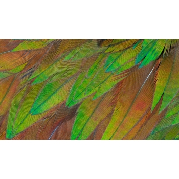 Preview: Philips 68.5cm (27.0) 27B1U3900 16:09 2xHDMI+DP+USB-C Lift