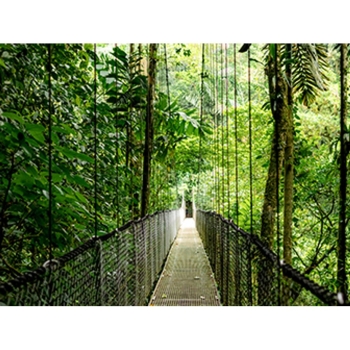 Preview: HP EliteBook 6 G1a AMD Ryzen AI 7 350 35.56cm 14Zoll WUXGA 32GB 1TB/SSD W11P SmartBuy 1J Gar (DE)