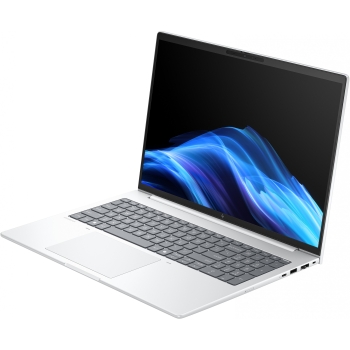 Preview: HP EliteBook 8 G1i Intel® Core™ Ultra 7 255U 40.64cm 16Zoll WUXGA 32GB 1TB/SSD W11P SmartBuy 3J Gar (DE)