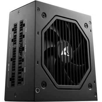 750W Sharkoon Rebel P20 750W (schwarz. 1x 12 Pin High Power Anschluss. 4x PCIe. Kabelmanagement. 750 Watt)