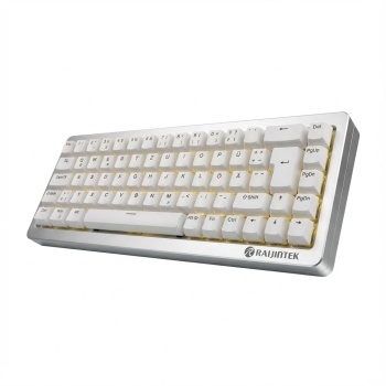 RAIJINTEK MGA-68 (silber. DE-Layout. Hejin Magnetic Yellow)