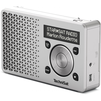 Technisat DigitRadio 1 silber