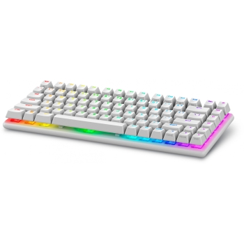 DELL Alienware Pro Wireless Gaming Keyboard Lunar Light US QWERTY