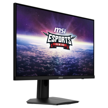 Preview: MSI Monitor G244F E2 (G244F E2)