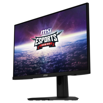 Preview: MSI Monitor G244F E2 (G244F E2)