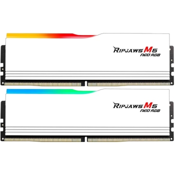 G.Skill DIMM 64 GB 6000 (2x 32 GB) Dual-Kit (wei. F5-6000J3040G32GX2-RM5NRW. Ripjaws M5 Neo. AMD EXPO)
