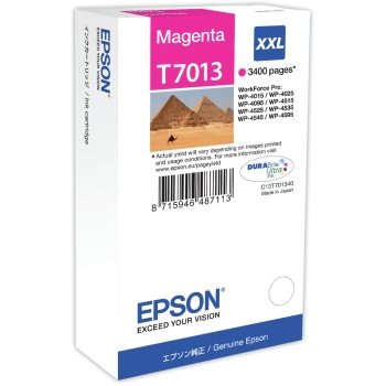 Epson C13T70134010 magenta EHC