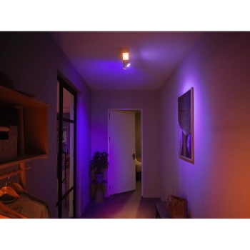 Preview: Philips Hue White & Col. Amb. Centris Spot 2 flg. weiß V2