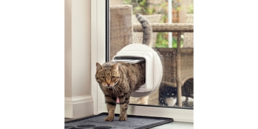 Preview: SUREFEED Mikrochipgest. DualScan Katzenklappe - wei�