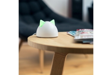 SUREFLAP Connect Hub