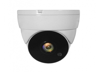 LevelOne CCTV  ACS-5302        Dome In  2MP       IR