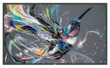 PHILIPS Q-Line 75BDL3511Q   190,5cm(75) 18/7/UHD (Speditionsversand)