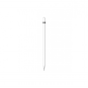 Apple Pencil für iPad 10,2 & 10,9 (1st Gen.)