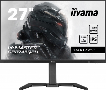 IIYAMA 68.5cm (27)   GB2745QSU-B1  16:9  HDMI+DP+2xUSB Lift